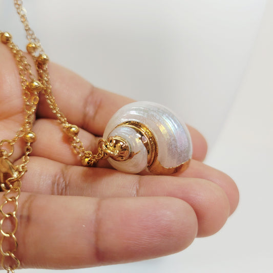 Shell Pendant Necklace. Gold-toned.